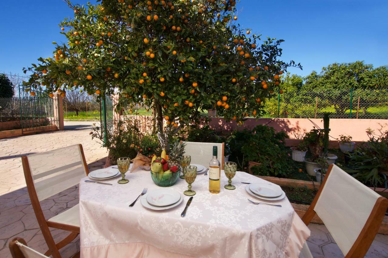 Artemis Superb 2 Bedroom Apartment 700 M Away From The Beach Minia Eksteriør bilde