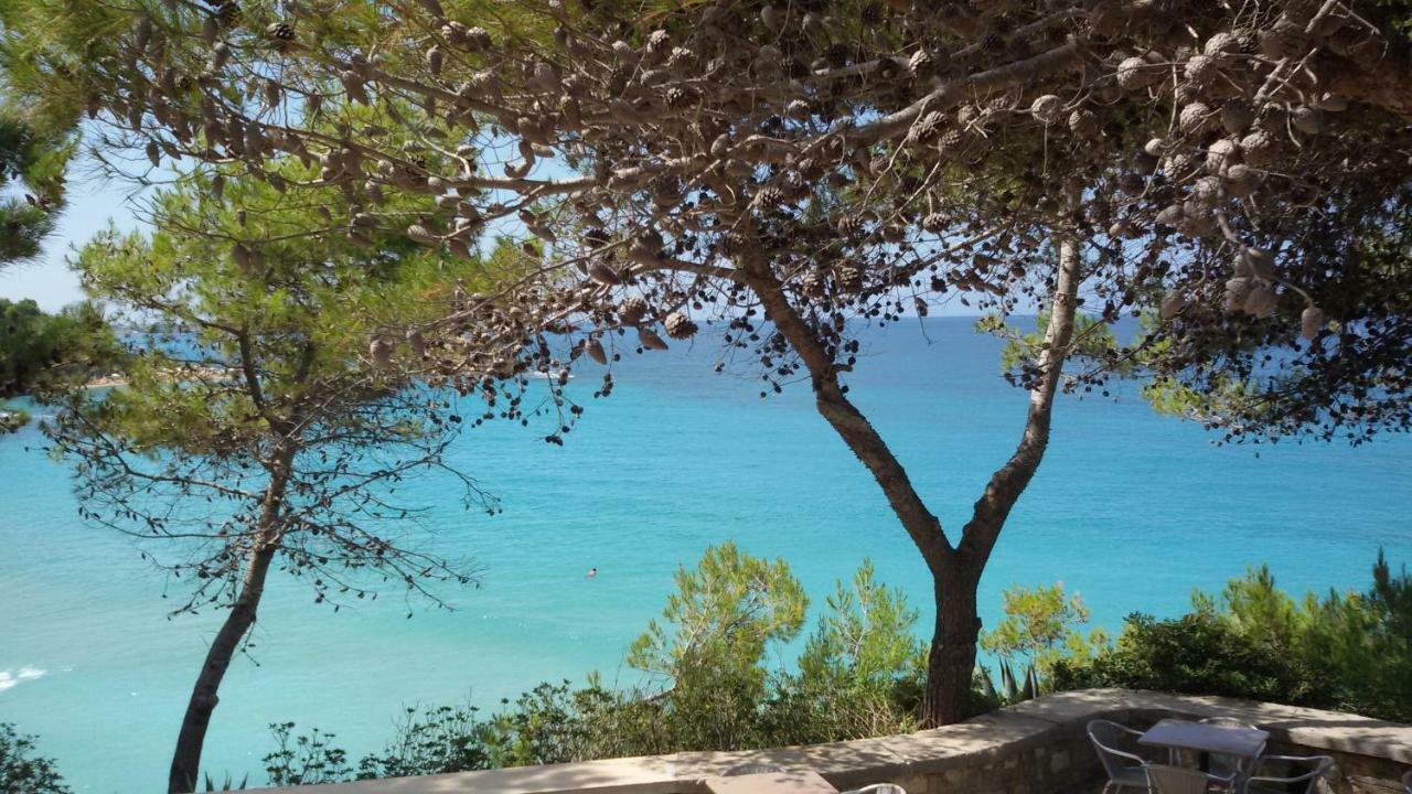 Artemis Superb 2 Bedroom Apartment 700 M Away From The Beach Minia Eksteriør bilde
